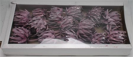 Artichoke Brombeer Frosted