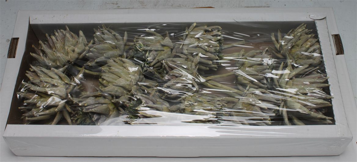 Cynara Frosted Dark Green