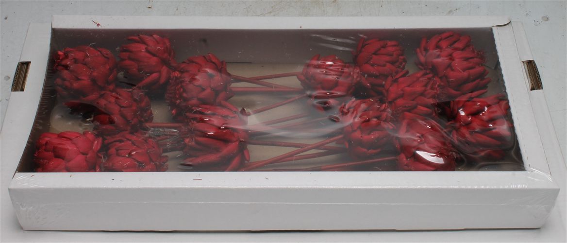 Cynara Red