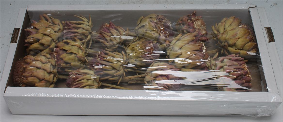 Cynara Natural