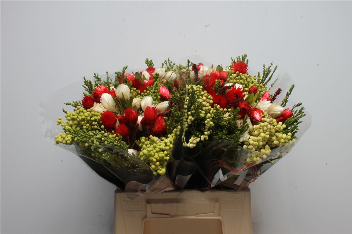 Bq Protea Edelkleur 45cm