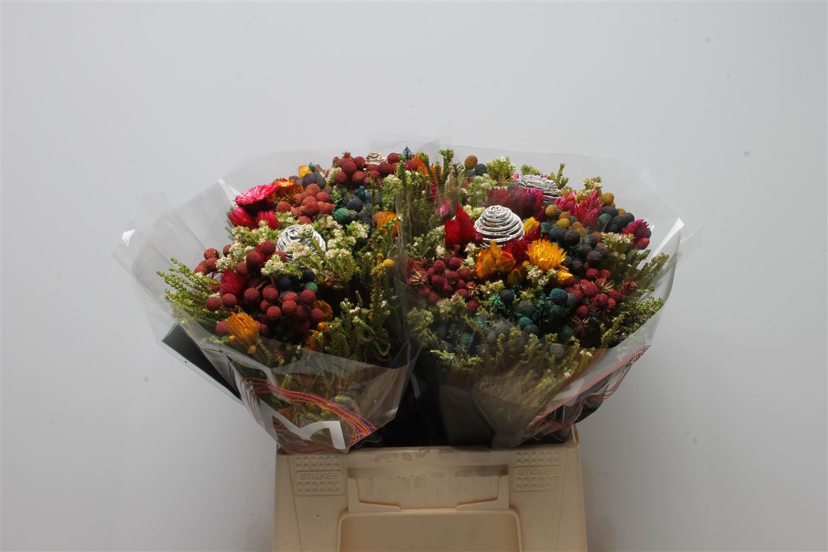 Brunia Cape Mix Tinted Bouquet 45cm