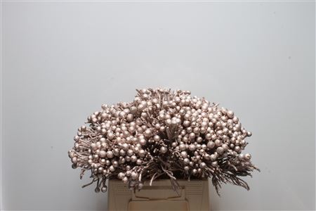 Brunia Silver Bunch 40cm