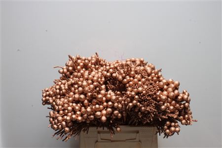 Brunia Silver Bunch 40cm
