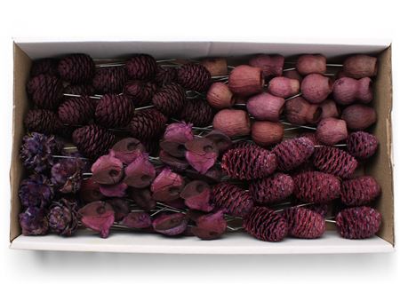 Lcd Assorti Brombeer On 10cm Wire