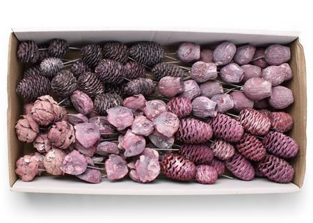 Lcd Assorti Frosted Brombeer On 10cm Wire