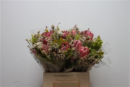 Protea Per Bos