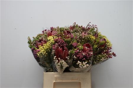 Protea Bouquet Per Bunch 40cm