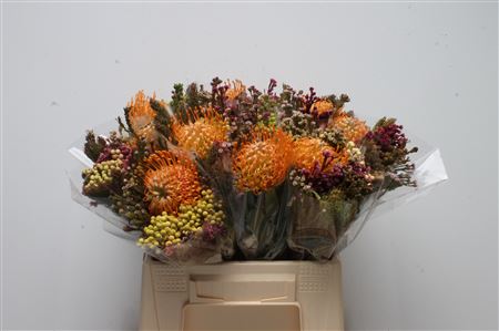 Protea Per Bos