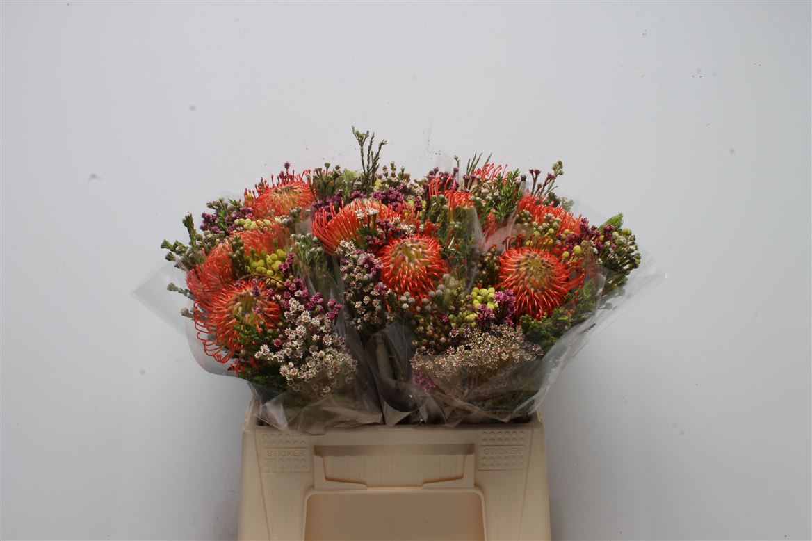 Protea Per Bunch 40cm