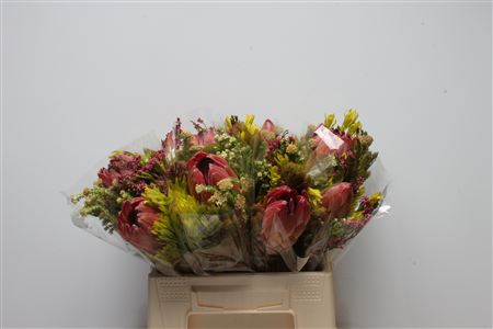 Protea Bouquet Per Bunch 40cm